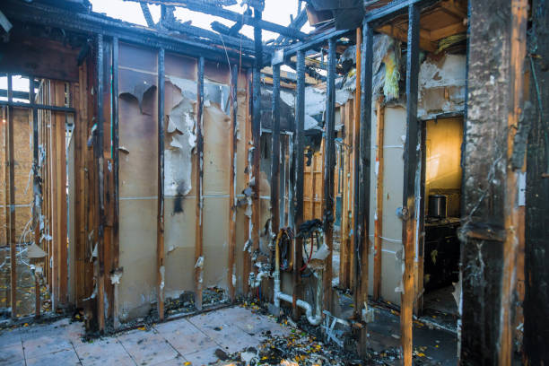 Professional Soot Cleanup technician working in Apollo Beach, FL