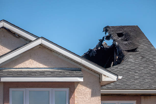Top rated local Soot Cleanup specialists in Apollo Beach, FL